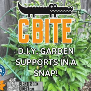 Header Image c bite