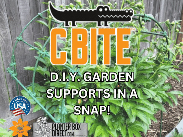 Header Image c bite